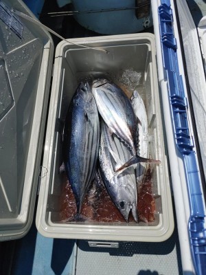 IMG03112.jpg