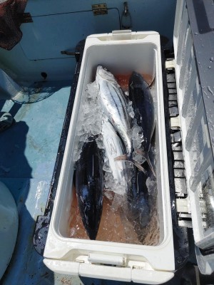 IMG03114.jpg